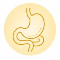 Abdomen MRI icon