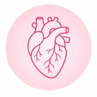 Cardiac MRI icon
