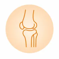 Knee MRI icon