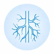 MR Angiography icon