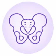 Pelvis MRI icon