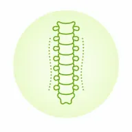 Spine MRI icon